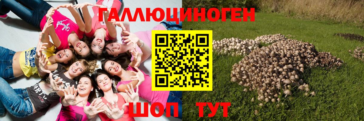 Галлюциногенные грибы ЛСД Янаул