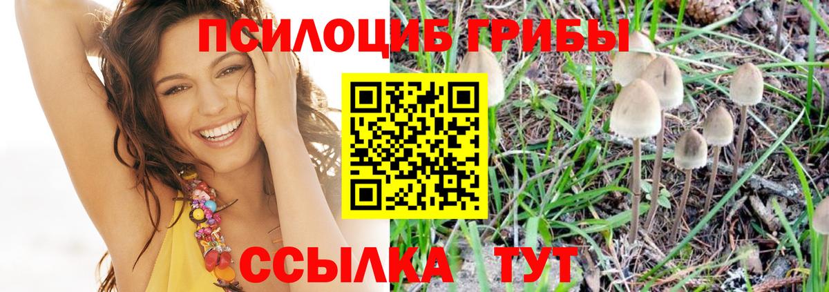 Псилоцибиновые грибы мухоморы  Вход с VPN  Янаул 